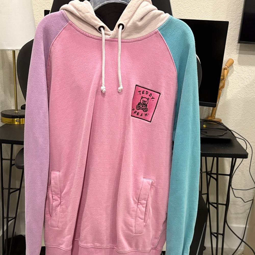 Teddy Fresh Pastel Hoodie with Logo